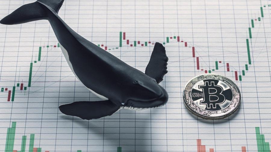 CryptoQuant: «“киты” нарастили продажи биткоинов»_6186794ff1167.jpeg