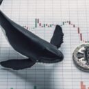 Децентрализованные биржи захватывают «киты»
