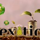 Exotic Markets привлек 5 миллионов долларов в рамках частной продажи токенов