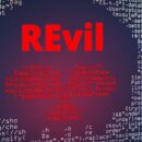 ФСБ провела рейды на членов хакерской группировки Revil