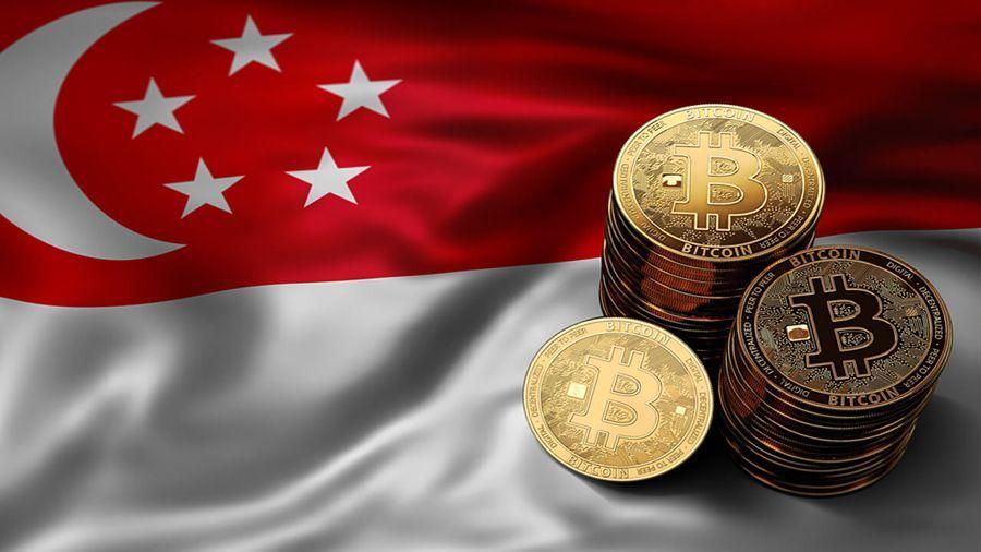 Правительство Сингапура предупредило о рисках вложений в криптовалюты