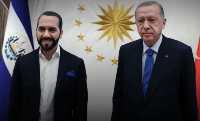 Встреча Эрдогана и Букеле: Биткоин пока не станет средством платежа в Турции