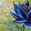 Студия Wizards запретила Lotus выпускать NFT на базе Black Lotus
