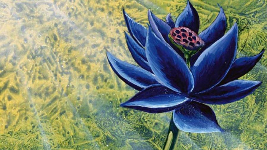 Студия Wizards запретила Lotus выпускать NFT на базе Black Lotus