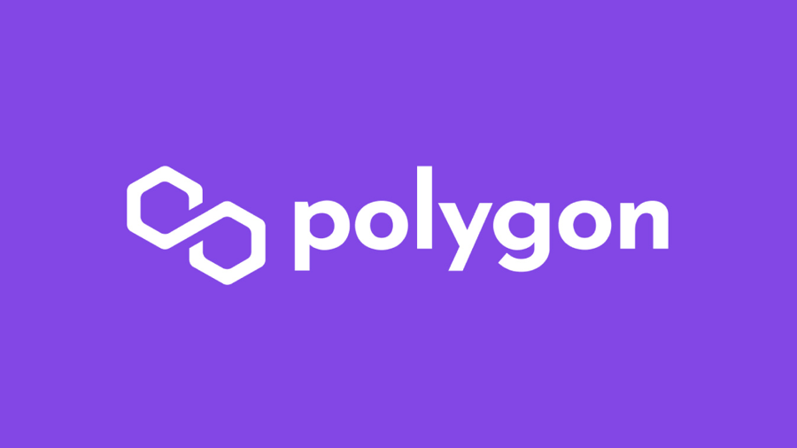 Polygon Studios предложила разработчикам Terra помощь для перехода в сеть