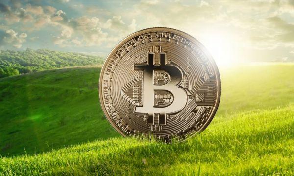 Пул майнинга Terra Bitcoin официально запущен