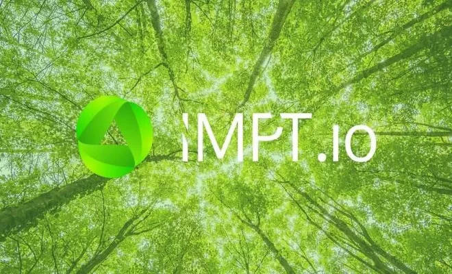 IMPT: обзор и цель проекта, перспективы