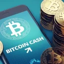 Сент-Китс и Невис может признать Bitcoin Cash законным платежным средством