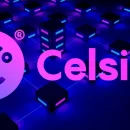 Аукцион по продаже активов Celsius Network состоится в январе
