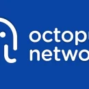 Octopus Network увольняет 40% сотрудников из-за кризиса на рынке